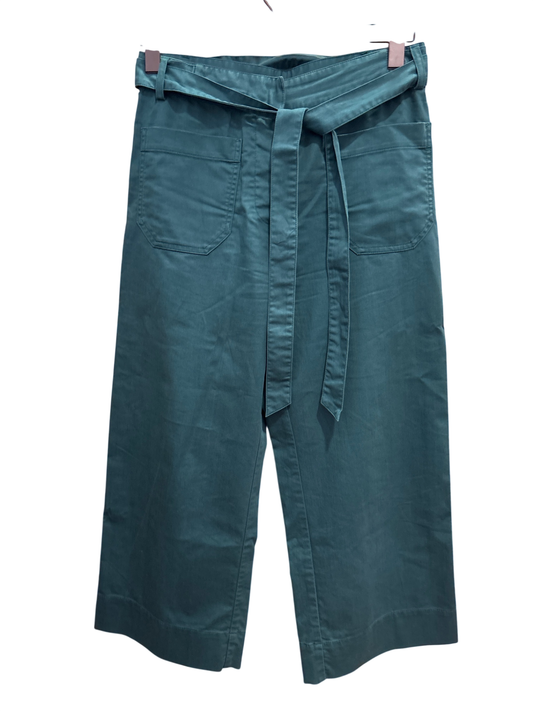 Hose Petrol M - sessun